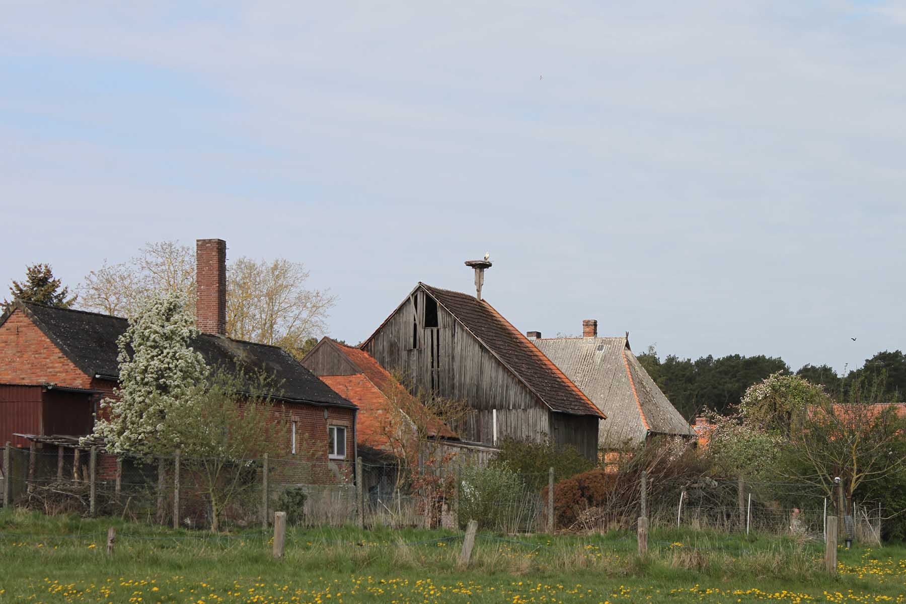 Storchmit Häuser